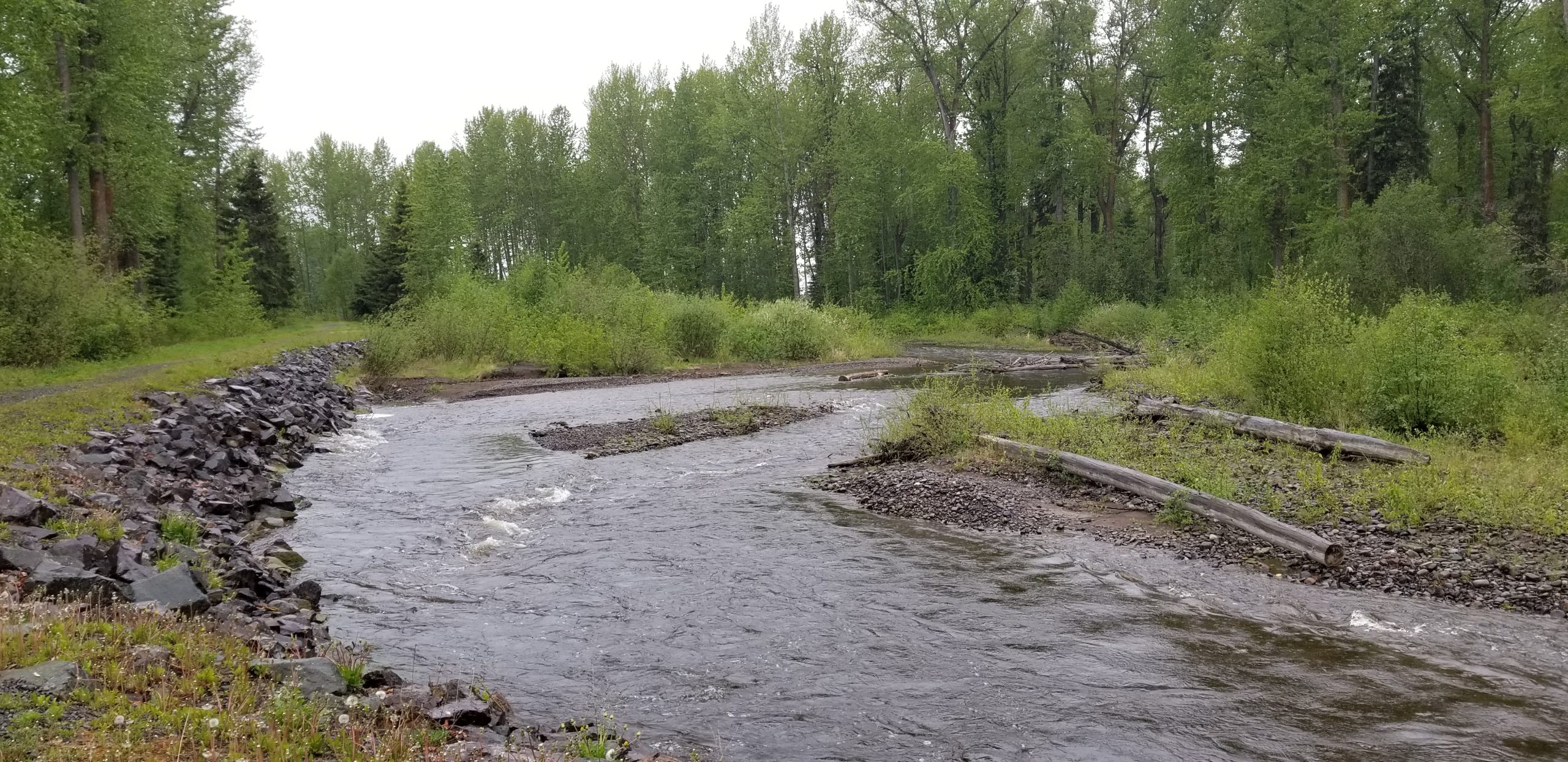 Plant identification excursion 30/05/25